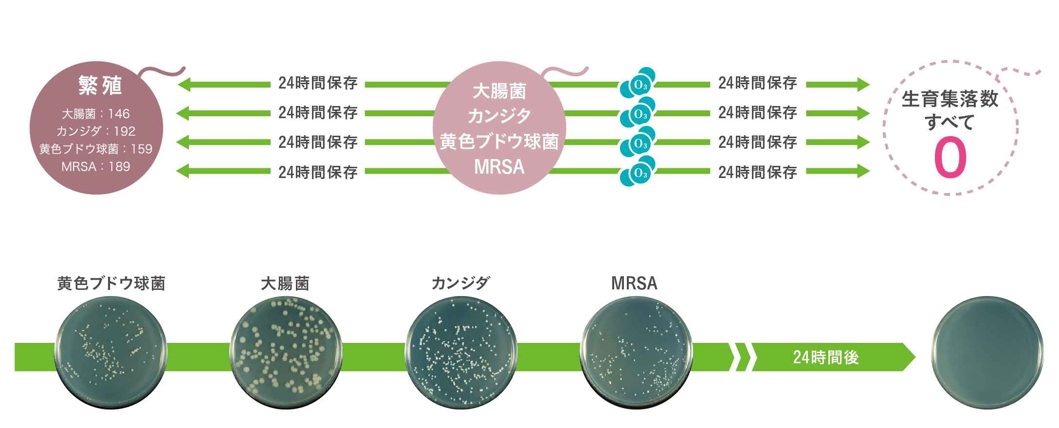 除菌試験結果